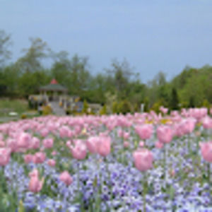 Meet your Posher, Eiri